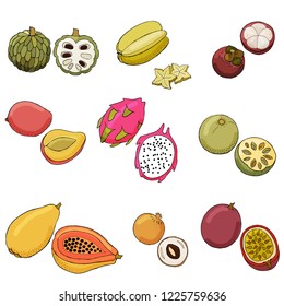Vector illustration of exotic fruits. Seth, colored, juicy, fresh.