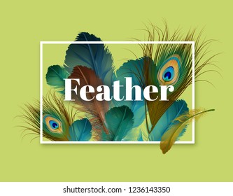 Vector illustration of exotic realistic feathers template with space for text in frame isolated on light green background