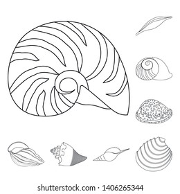 Vector illustration of exotic and seafood  icon. Set of exotic and aquatic stock symbol for web.