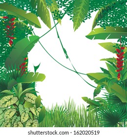 vector illustration of exotic tropical forest, blank spot on the middle