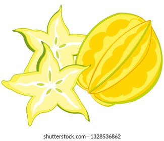 Vector illustration of the exotic tropical fruit carambola
