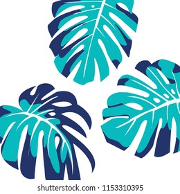 Vector illustration. Exotic tropical plant. 
Background with blue monstera leaves. 