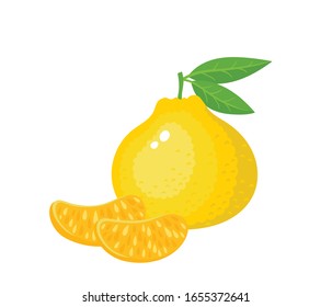 Ilustración vectorial de ugli exótico aislado en blanco. Todo y trozos de tangelo tropical fresco jamaicano usado para el afiche, sitio web, folleto, etiqueta