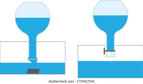 Vector Illustration of an Experiment with water and Oil Tubes, Online Education Material