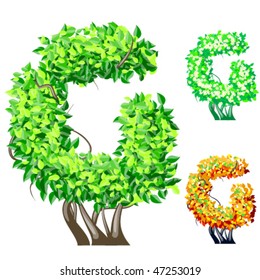 Vector illustration of an extra detailed tree alphabet symbols. Easy detachable crown. character g