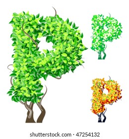 Vector illustration of an extra detailed tree alphabet symbols. Easy detachable crown. character p
