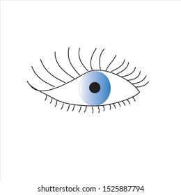 vector illustration of an eye, eye isolated on white background