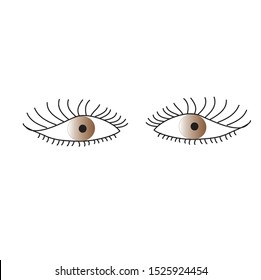 vector illustration of an eye, eye isolated on white background