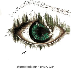 Vector illustration of  eye of nature on the white background