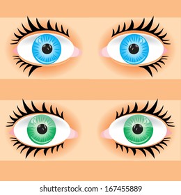 Vector illustration eye person.Eye of the person