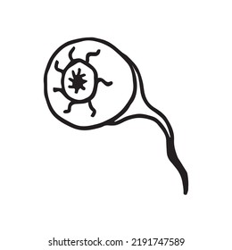 Vector illustration of eyeball in doodle style
