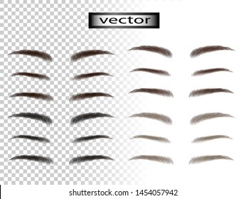 Vector illustration eyebrow natural set isolated on transparent background