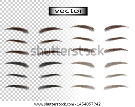 Vector illustration eyebrow natural set isolated on transparent background