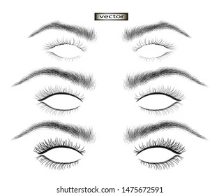 Vector illustration of eyebrows and eyelashes natural set of three parts