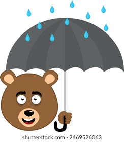vector illustration face brown bear grizzly cartoon, on a rainy day with an umbrella and raindrops falling