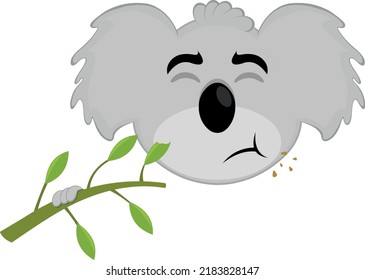 Vector illustration of the face of a cartoon koala eating a eucalyptus plant