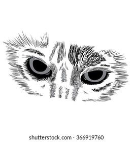 Vector illustration of face of a cat on white background