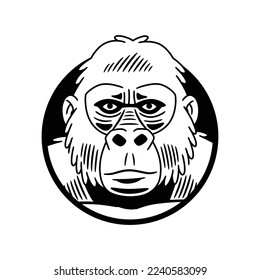 Vector illustration of the face of a gorilla, framed in a circular shape, in black and white and outlined.