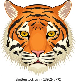 Vector illustration of the face and head of a Bengal tiger against a white background.