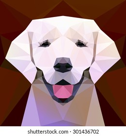 Vector illustration - Face of a labrador dog