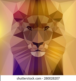 Vector illustration - face of a lion