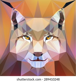 Vector illustration - face of a lynx