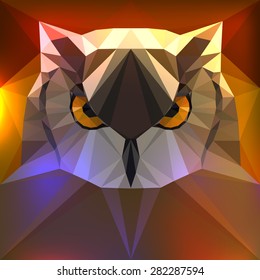 Vector illustration - face of a owl