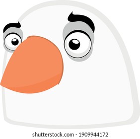 Vector illustration of the face of a pigeon