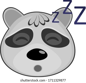 Vector illustration of the face of a sleeping raccoon cartoon