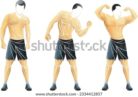 Vector illustration of faceless male Men’s Physique athletes in classic bodybuilding poses. Stylized polygonal design showing defined muscles, symmetry, and lean shape. Abstract fitness concept