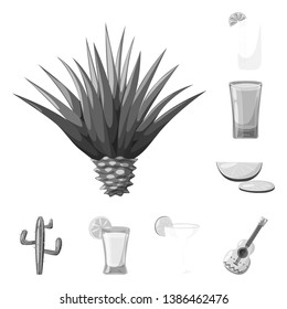Vector illustration of fajita and fiesta sign. Set of fajita and celebration stock symbol for web.