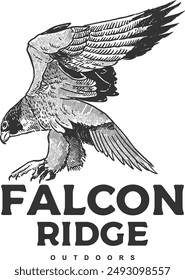 Vector Illustration a Falcon Clipart