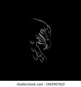 Vector illustration. Falcon image. Vector bird. Predator, hunter.
