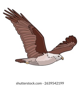 vector illustration of falcon in original appearances