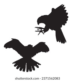 Vector Illustration of Falcon Silhouette Art