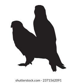 Vector Illustration of Falcon Silhouette Art