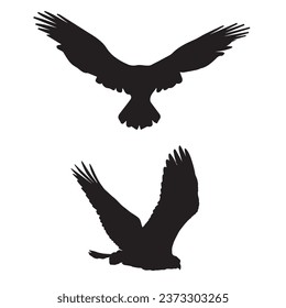 Vector Illustration of Falcon Silhouette Art