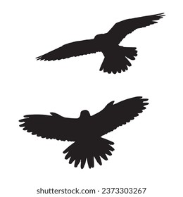 Vector Illustration of Falcon Silhouette Art