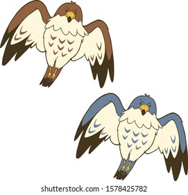 
Vector illustration of a falcons on white background.