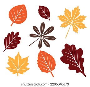 vector illustration of fall, autumn leaves.