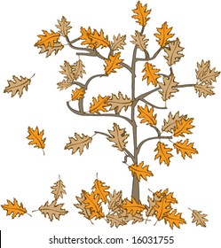 Vector illustration of Fall or Autumn red Oak leaves falling off the tree
