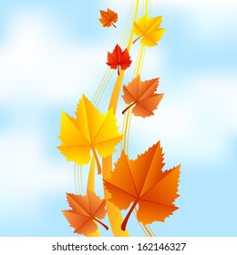 Vector illustration of fall leaves on sky background