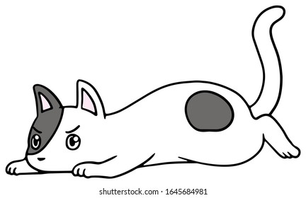 Vector illustration of a fallen black and white cat with angry face