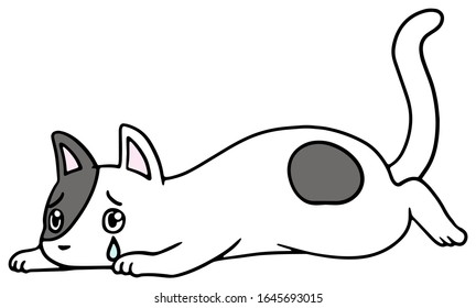 Vector illustration of a fallen black and white cat with troubled face