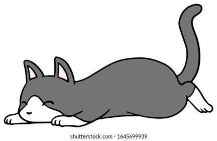 Vector illustration of a fallen black and white cat with smile