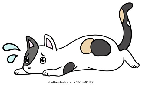 Vector illustration of a fallen calico cat with troubled face