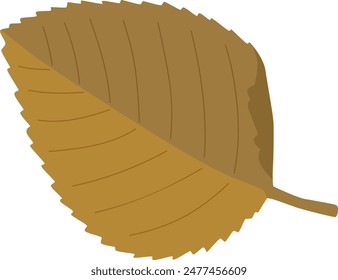 Vector illustration of fallen leaves