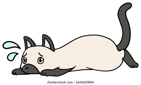Vector illustration of a fallen 
Siamese cat with troubled face