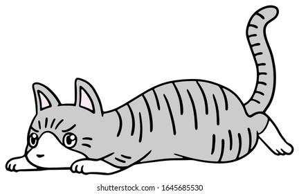 Vector illustration of a fallen silver tabby cat with angry face
