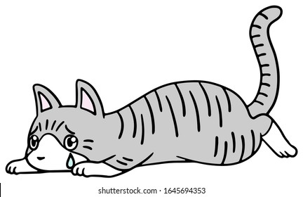 Vector illustration of a fallen silver tabby cat with troubled face